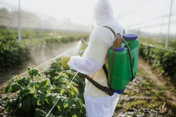 Best Pest Removal Services  in Wake Forest, NC